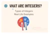 What Are Integers? Types & Practical Examples, Worksheet & MCQs - Post Thumbnail