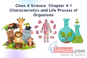 Class 4 Science MCQs Chapter 1