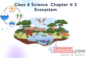 Class 4 Science MCQs Chapter 2