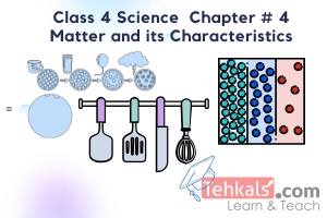 Class 4 Science MCQs Chapter 4