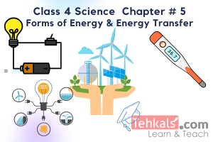 Class 4 Science MCQs Chapter 5