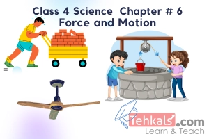 Class 4 Science MCQs Chapter 6