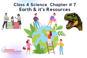 Class 4 Science MCQs Chapter 7