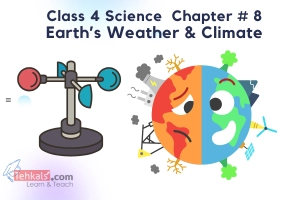 Class 4 Science MCQs Chapter 8